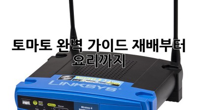 토마토 완벽 가이드: 재배부터 요리까지!