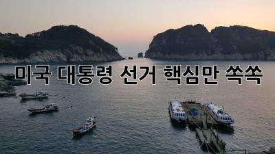 미국 대통령 선거, 핵심만 쏙쏙!